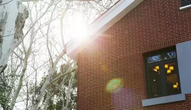 新闻1+1中西部高校,新闻1+1华中农业大学