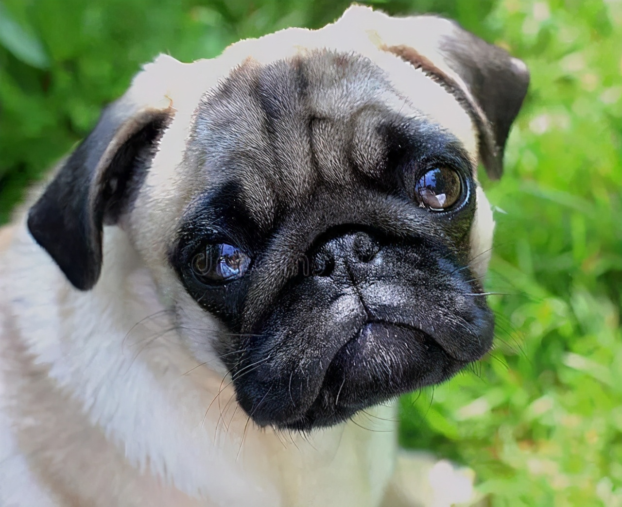 当情绪失控怎么办,当情绪失控时如何缓解