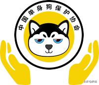 快手抖音短视频教程,正规的抖音快手教程视频