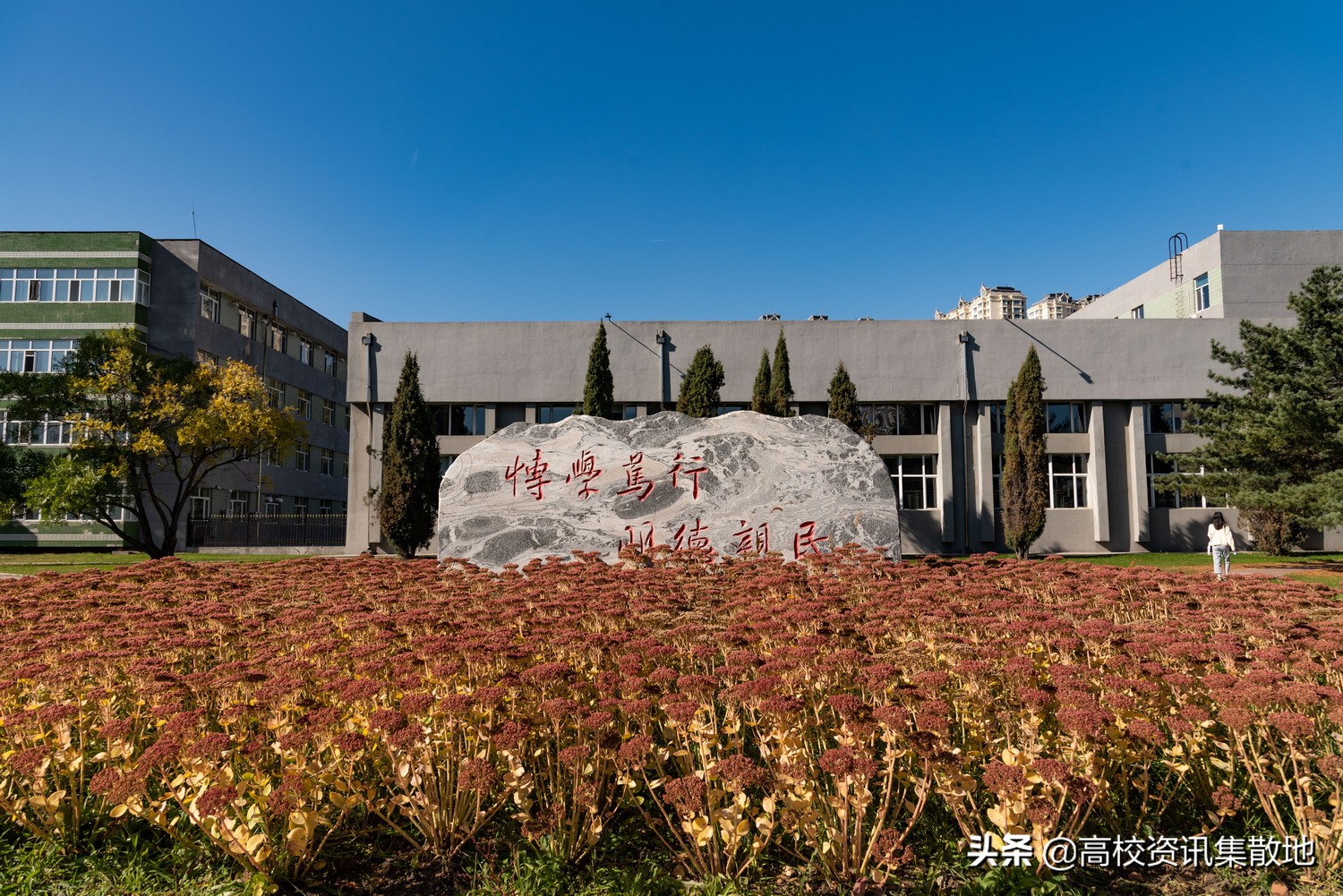 东北农大是211或是985的院校吗,东北农业大学是双一流建设高校么