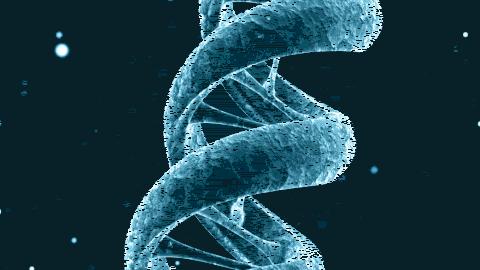 基因编辑婴儿被敲掉的位点什么来头？曾治愈艾滋病患现却走火入魔