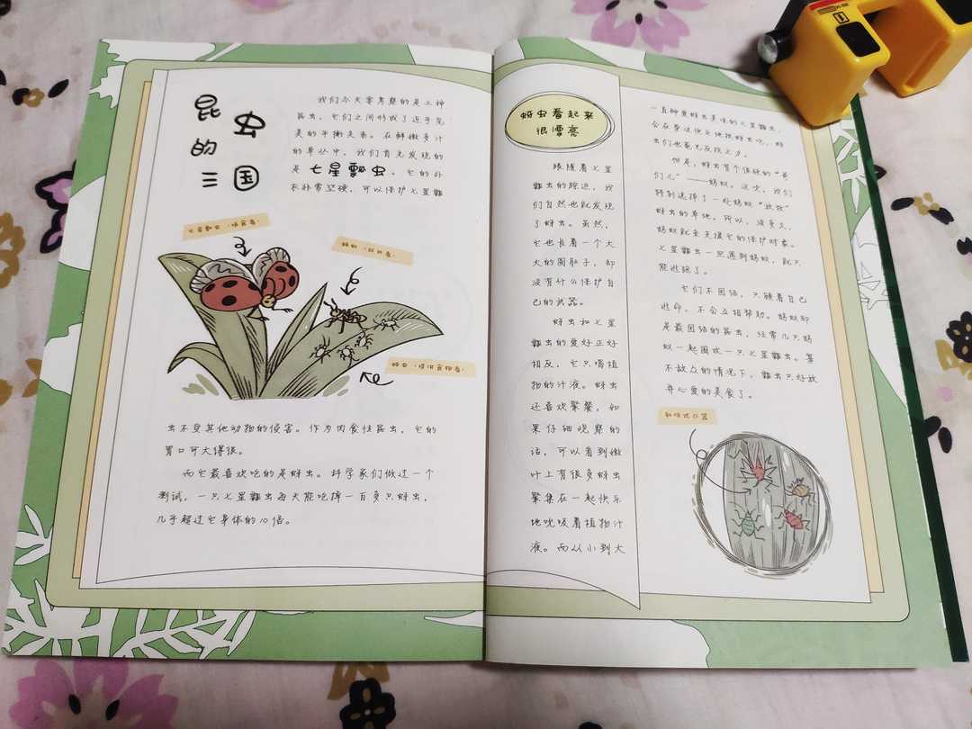 孩子看到虫子被吓哭？妈妈说：少见才多怪，先纸上谈兵再实地观察