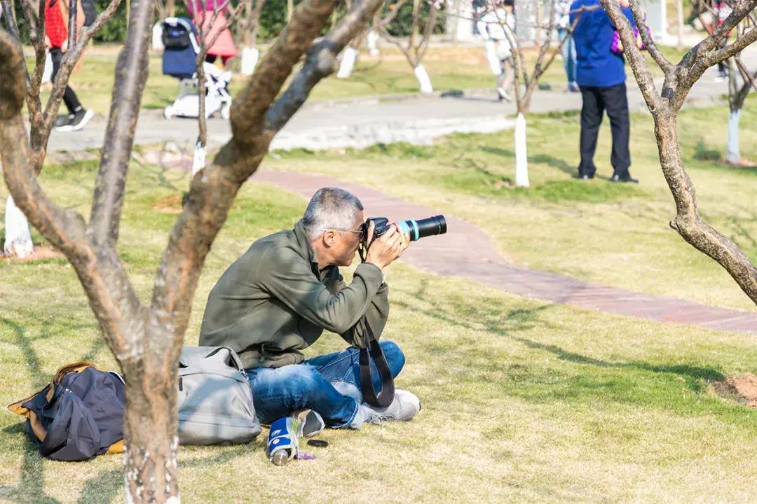 深圳隐秘风景,深圳粉色花海视频