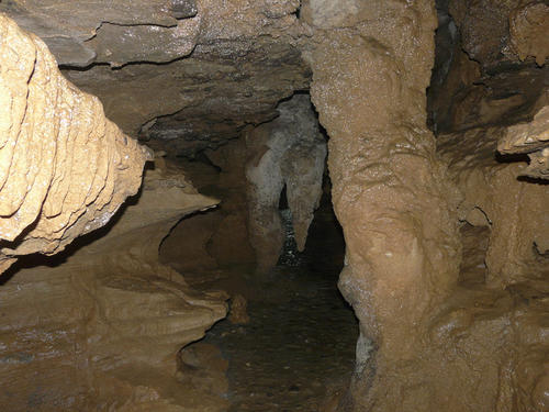 酒糟埋藏酒有什么区别,酒糟埋藏酒