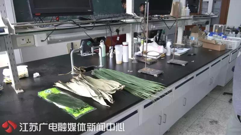 有毒的粽子,当心买到的粽子含重金属