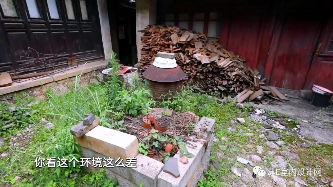 乘风破浪谢柯,谢柯个人简历