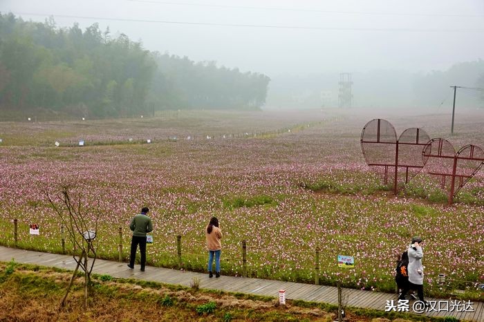 万亩茶园·俄罗斯方块小镇：全球首家茶文化俄罗斯风情主题公园