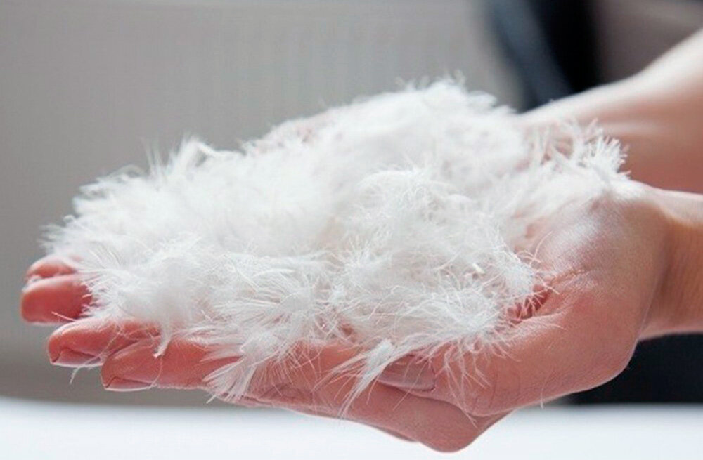 国产高品质白鹅绒已经“历史新低”，国产羽绒被值得买吗？