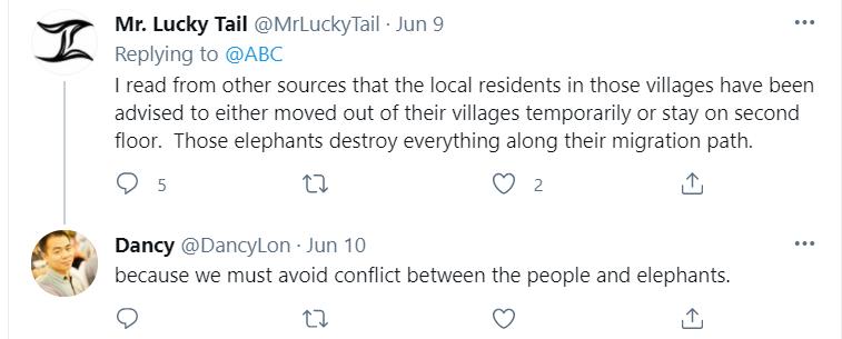 云南象萌翻全世界!外网追直播“吸大象”,夸中国护象措施太可爱