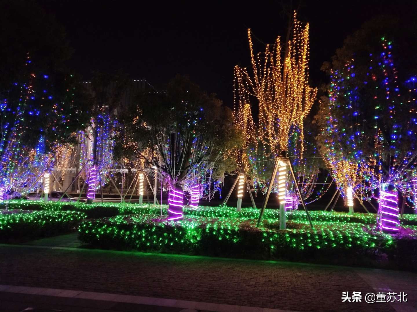 沛县百强县排名,全国综合实力百强县沛县