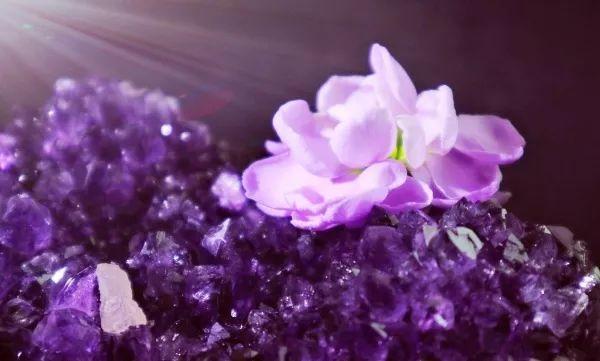 一千块的紫水晶,紫水晶100块钱