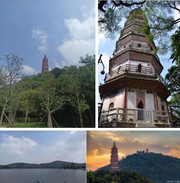 顺德打卡美食街在哪里,顺德新奇美食攻略排行榜