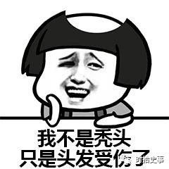 太秃了有什么解决办法,太秃然了什么梗