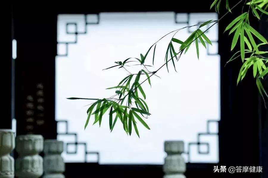 道真可有可无,道真县地理位置