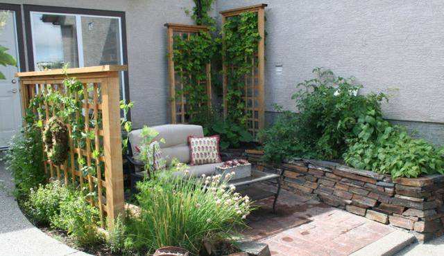 一楼蚊子特别多怎么除蚊子,一楼下水道蚊子怎么消除