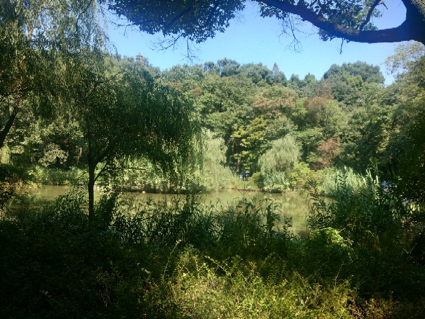 襄阳人苞谷味在臆想中的古隆中卧龙岗居于何地?