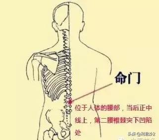 补脾是一切疾病的治疗关键