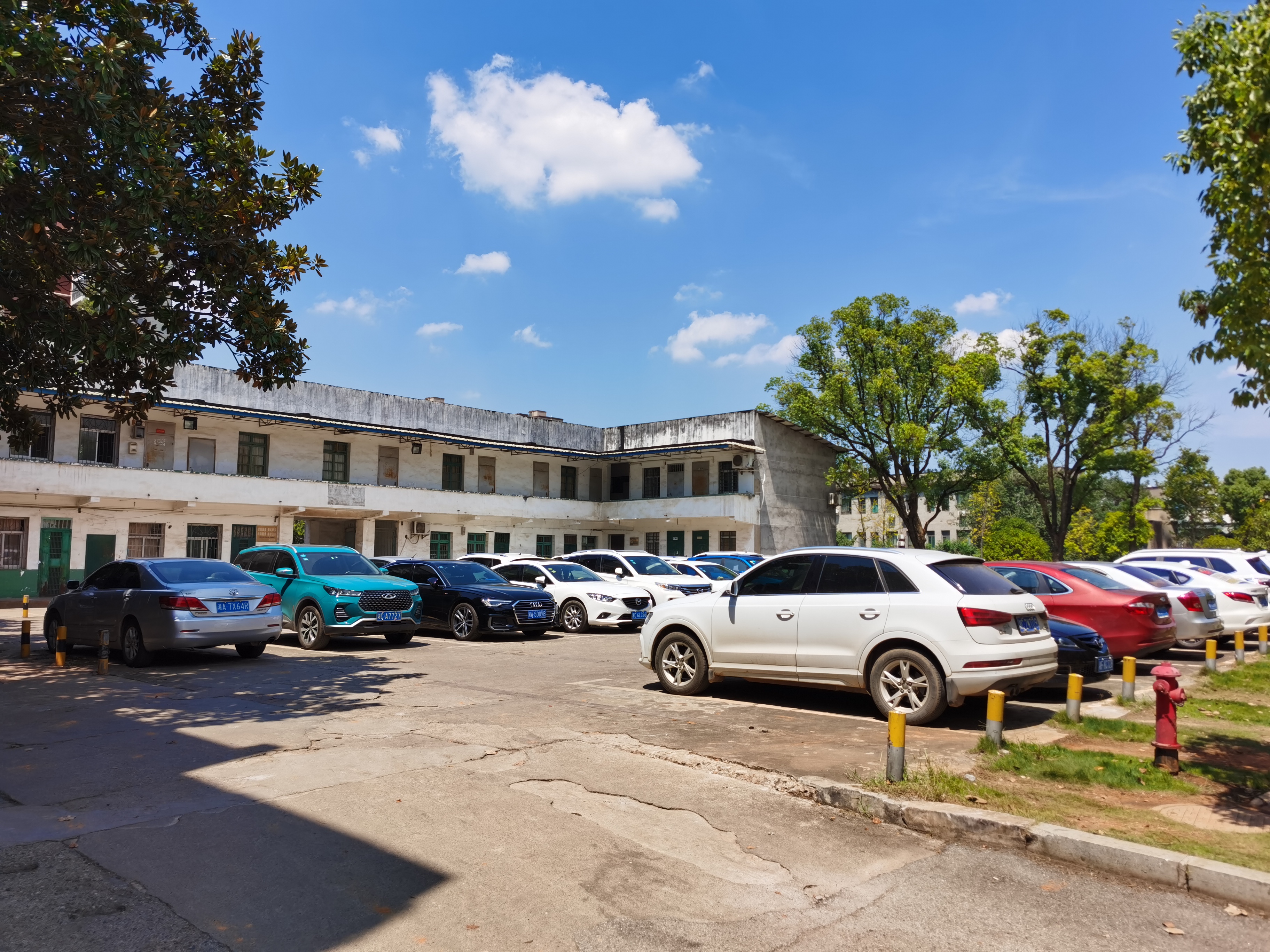 凌渡60000公里用车感受入坑不后悔,6年朗逸车主真实感受