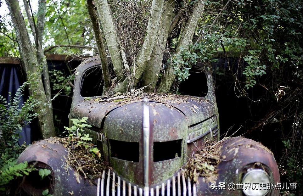 世界上最大汽车博物馆,全球最大的汽车博物馆