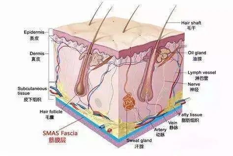 超声波裁刀维修处理过程,超声刀图解100例