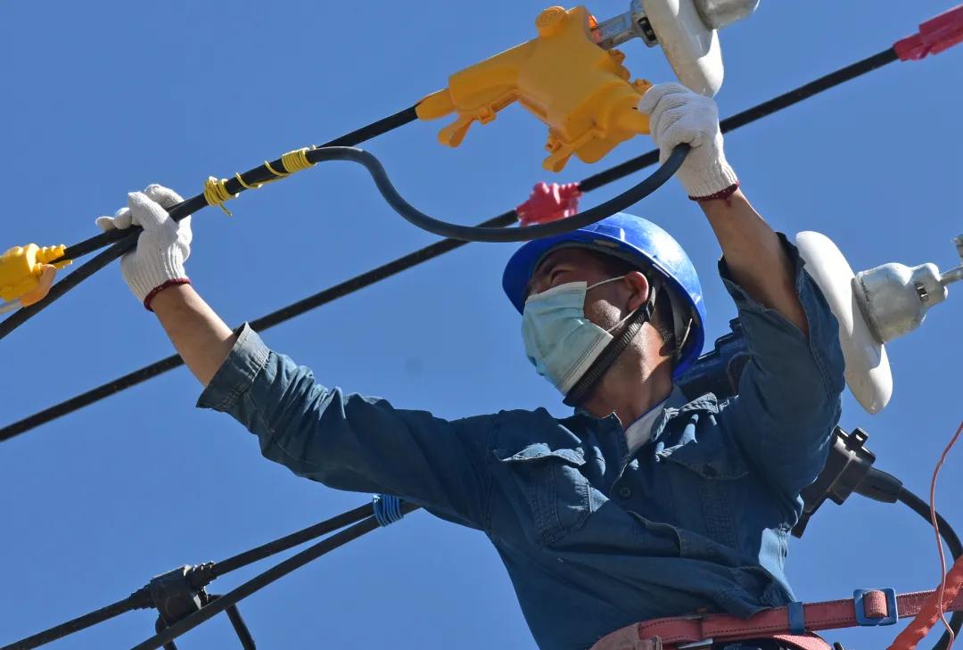 小鸽子放飞为什么没回来呢,小鸽子放飞了会回来吗