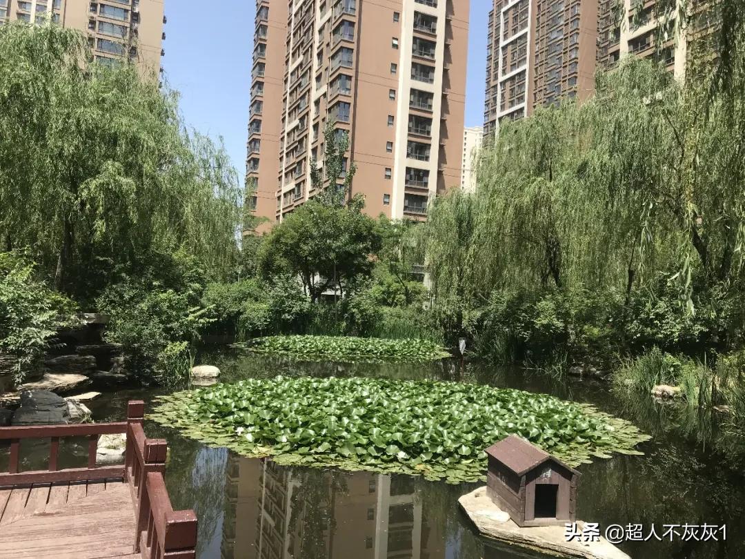石家庄园林景观最好的小区：一流学区，江南水景，交房超过十年