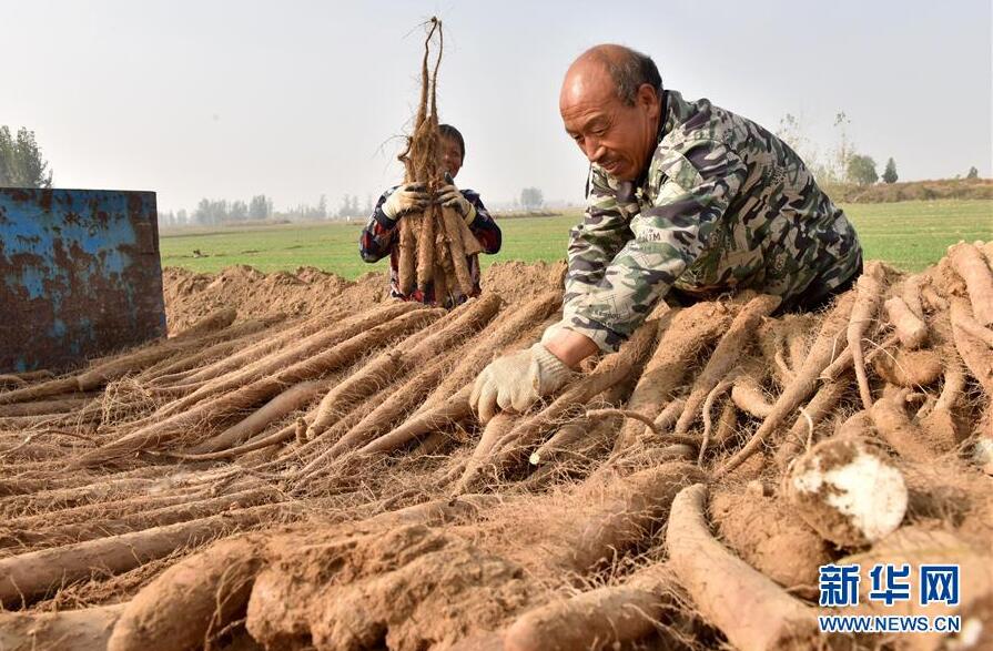 高端媒体看磁县,高端媒体看邢台新华社