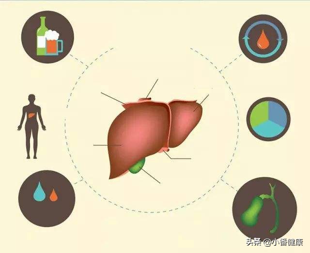 慢性乙肝定期复查项目,慢性乙肝要定期复查什么项目