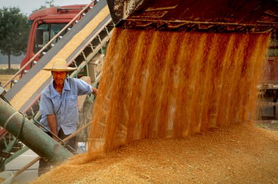 大国粮仓纪录片多长时间,大国粮仓纪录片黄金根