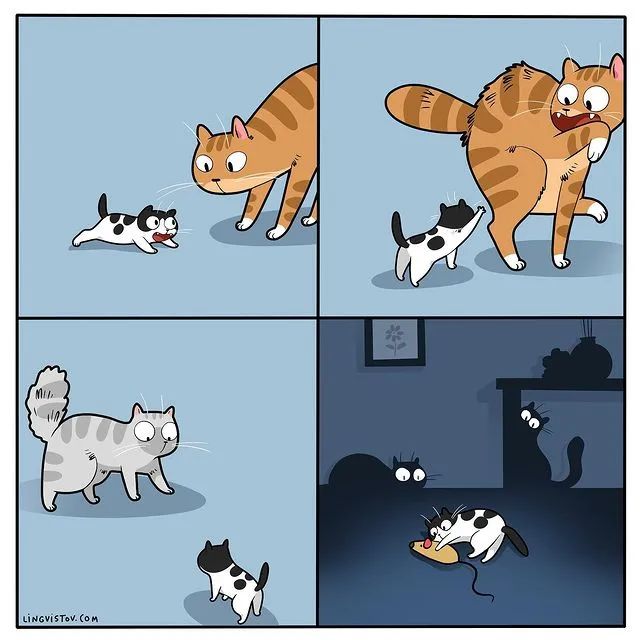 沙雕猫片，笑到床塌！自从做了卑微的铲屎官，比一个人时刺激多了