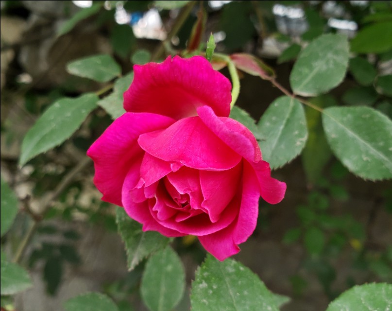 悠闲的时光惬意的生活,一个人的惬意时光诗词