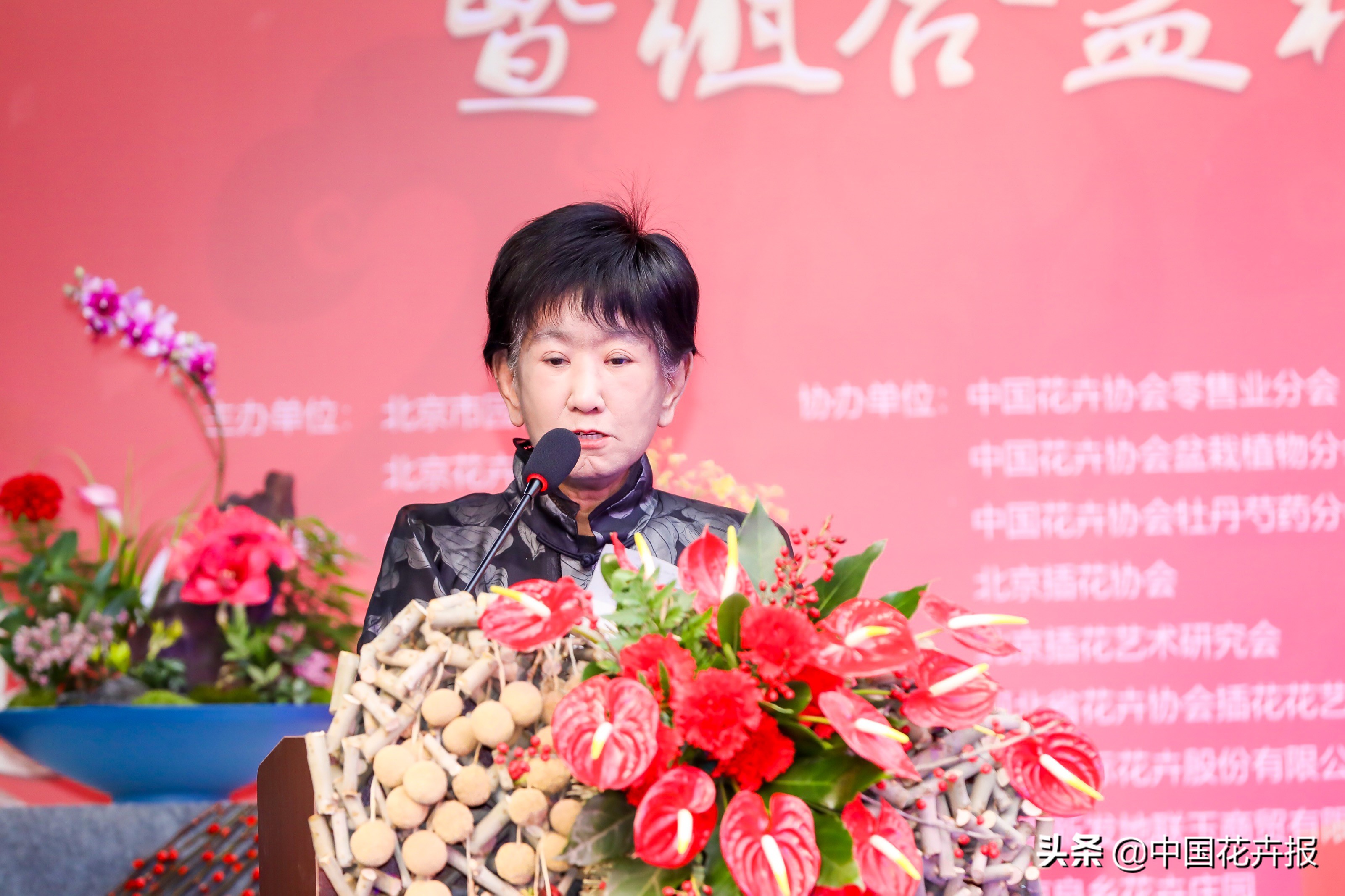 北京迎春花展,北京春季花展时间表