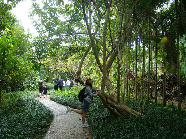 西安到三亚旅游攻略自由行费用,海南旅游攻略自由行三亚最佳路线