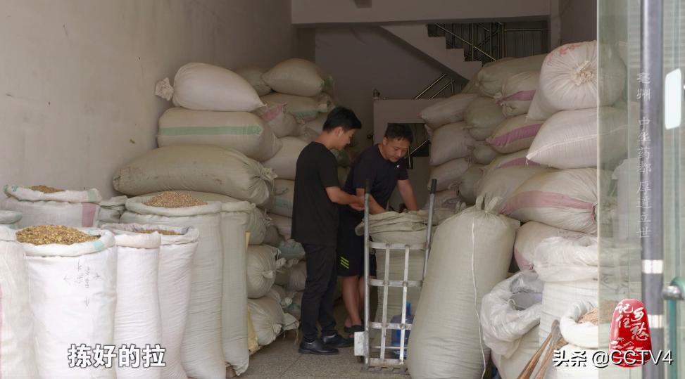 华佗故乡亳州药都之乡简介,亳州为什么被称为华佗故里