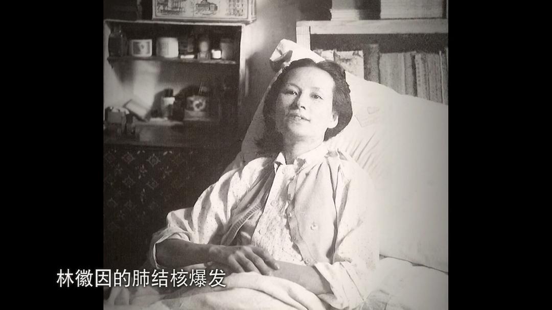 林徽因和梁思成同居过吗,林徽因和梁思成的相处方式