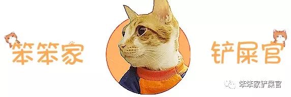 疫情期间,猫咪经常呕吐|并非肠胃问题,便秘尿闭才是罪魁祸首