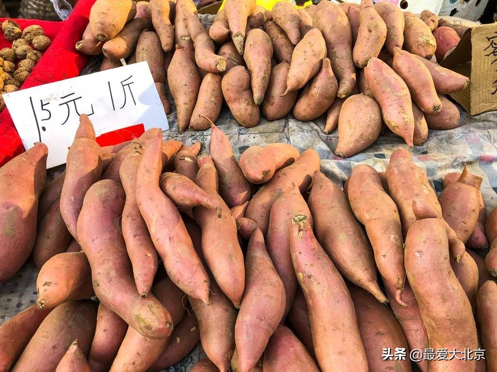 最便宜的早市品种,北方早市有哪些品种