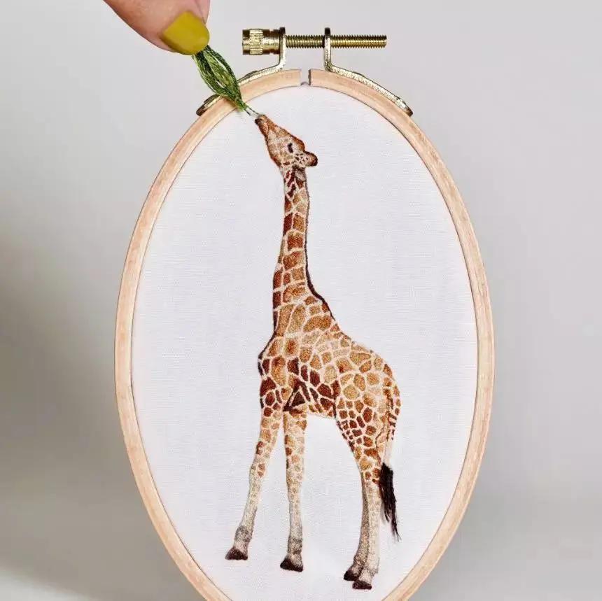 用针作画骗人的案例,用针作画骗局揭秘