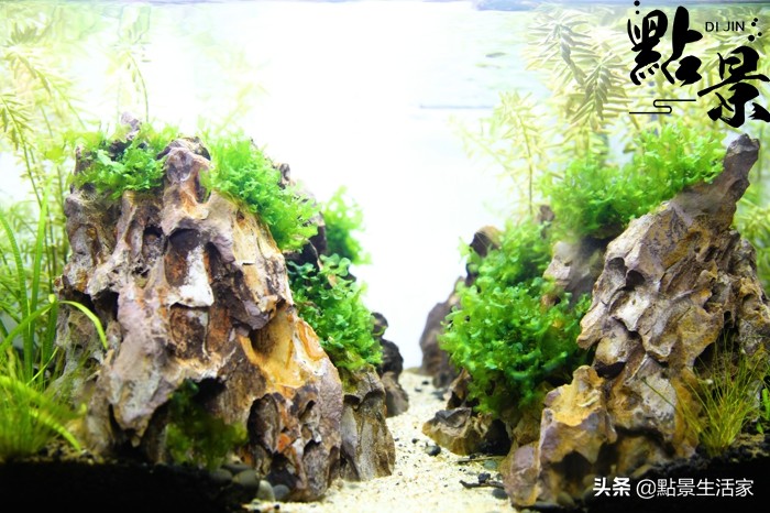 不看后悔的经营之道,不看就后悔的实用小技巧