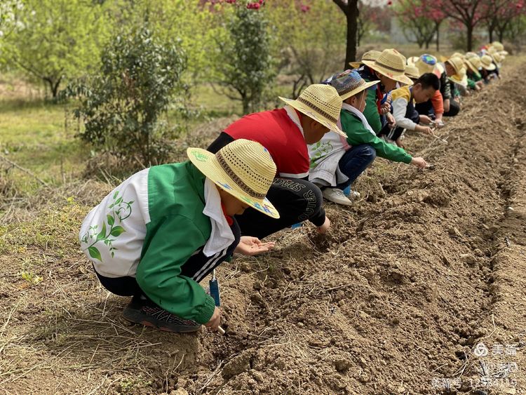 农场体验田园生活捡鸡蛋,农场种菜研学活动的收获和感悟