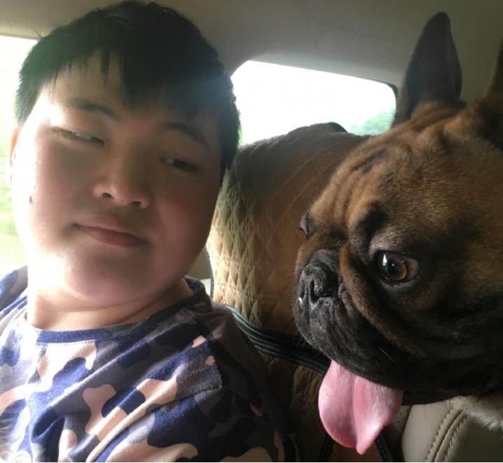 lol十周年猪妹炫彩,LOL猪妹新皮肤