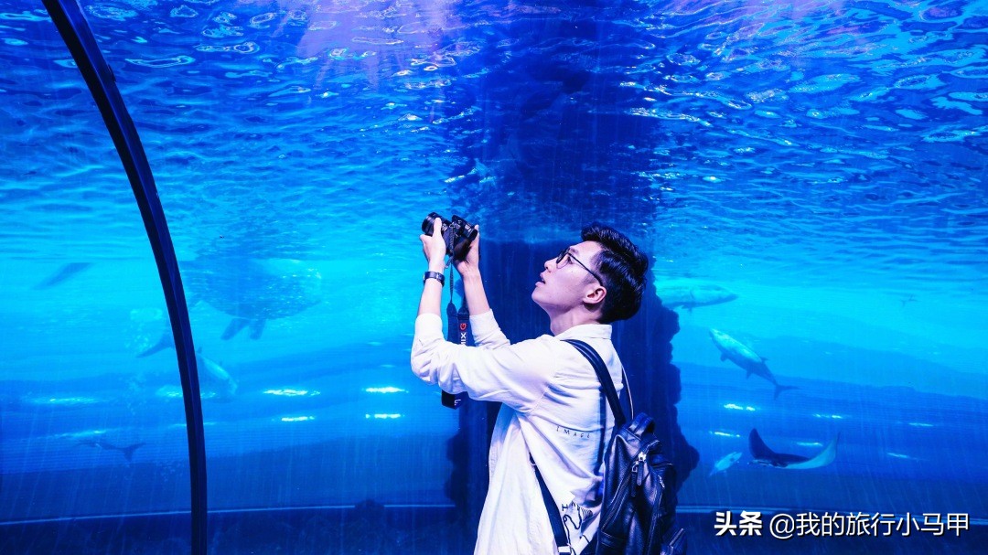 迪拜游玩一定要体验一次,迪拜必去十大景点旅游攻略