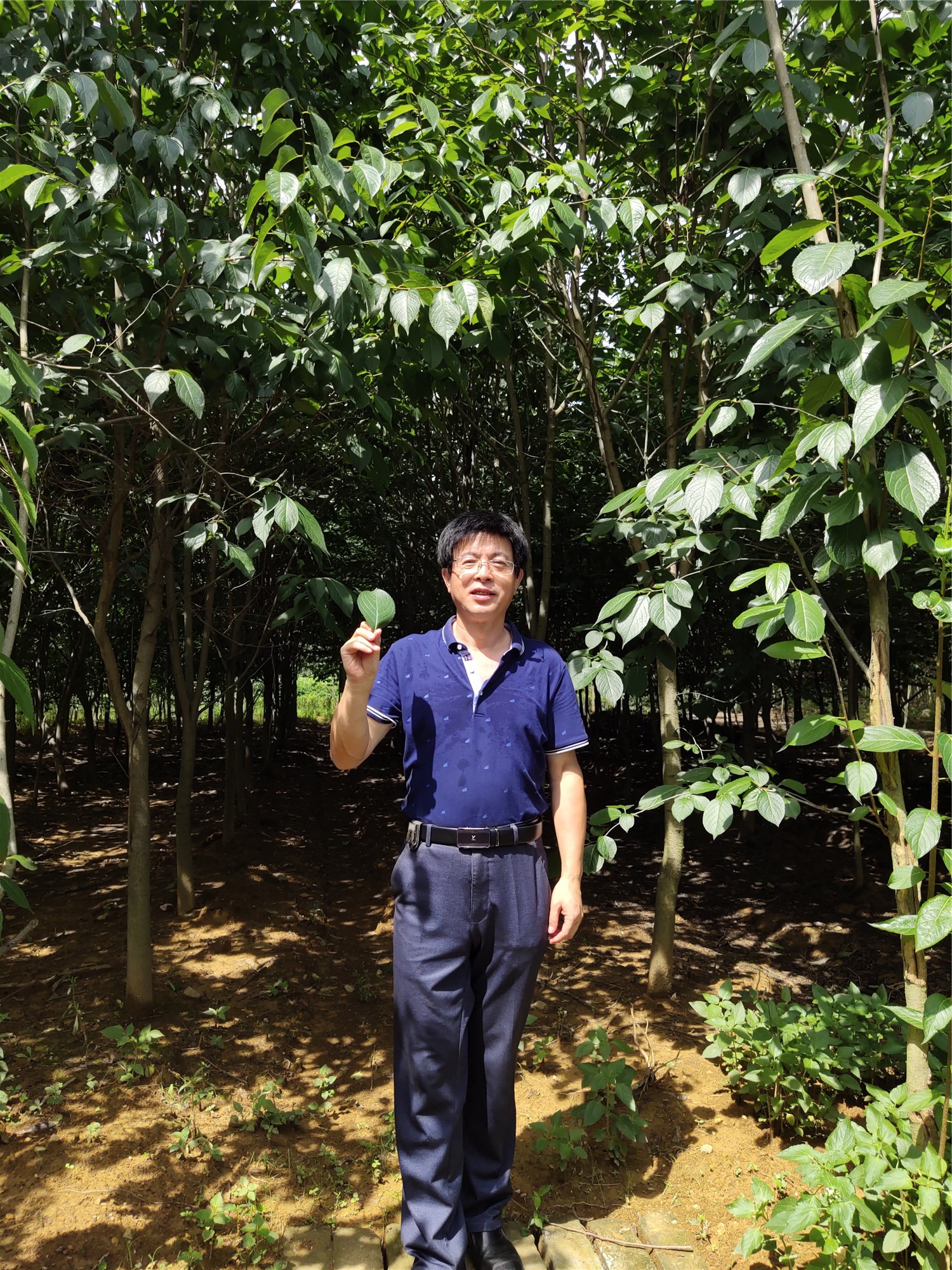 井冈山的歌者：著名作家袁鹰、江子等对胡刚毅文学作品的评论