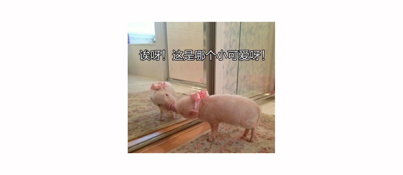 30岁女性怎么护肤好用,40岁教你省钱又有效的护肤方法