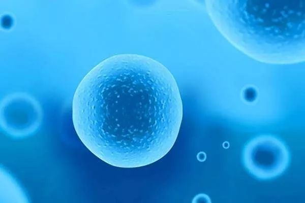 为什么促排后取不到优质卵子,促排的卵子质量是不是很差