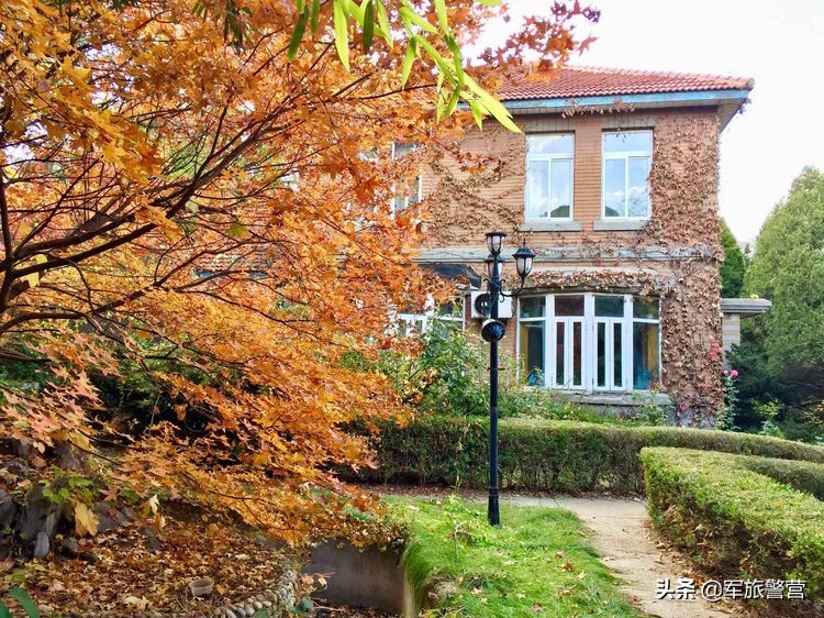 大连市八七疗养院的故事,大连八七疗养院