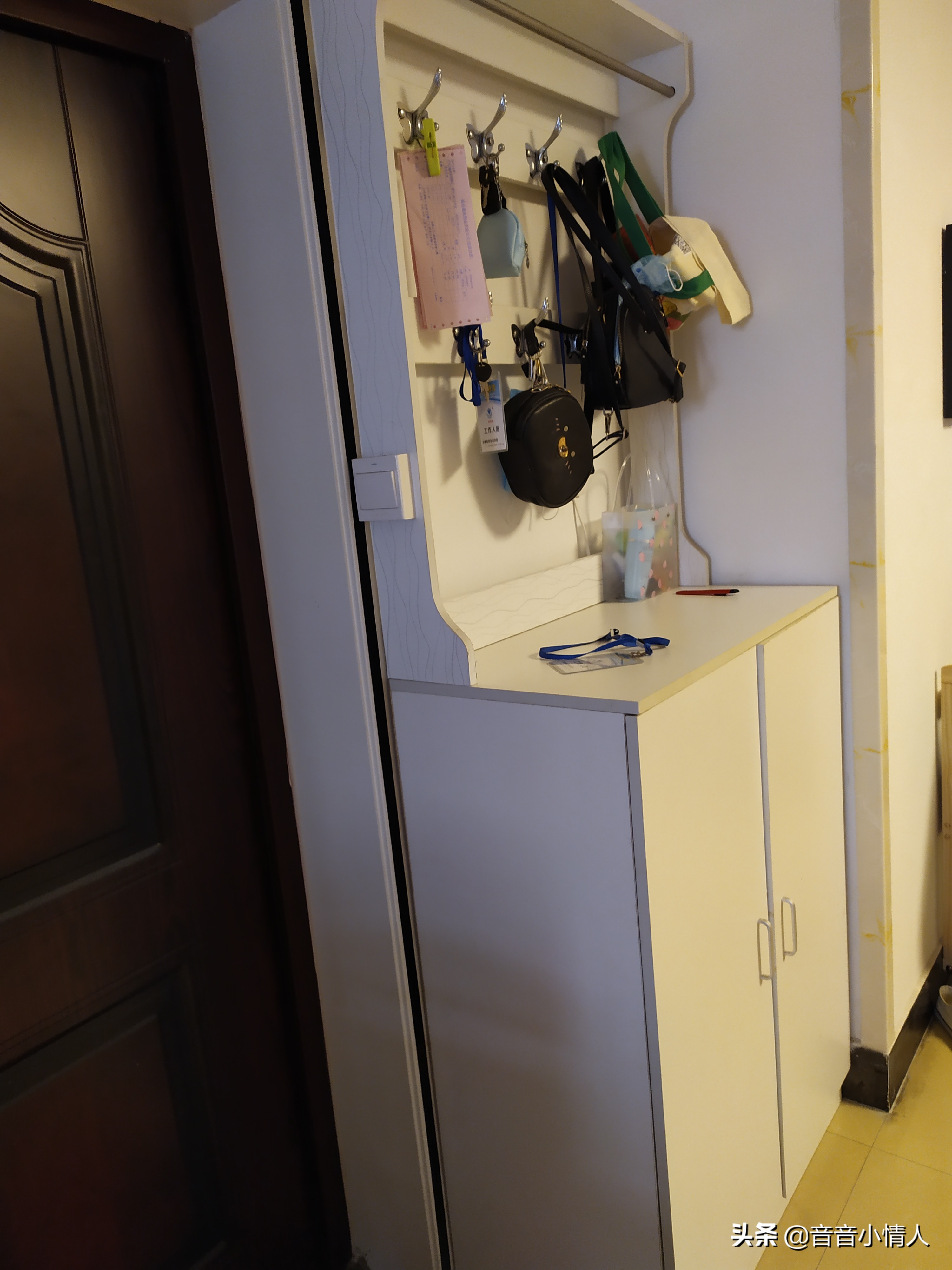 家里的鞋柜什么材质好,家里鞋柜选什么板材