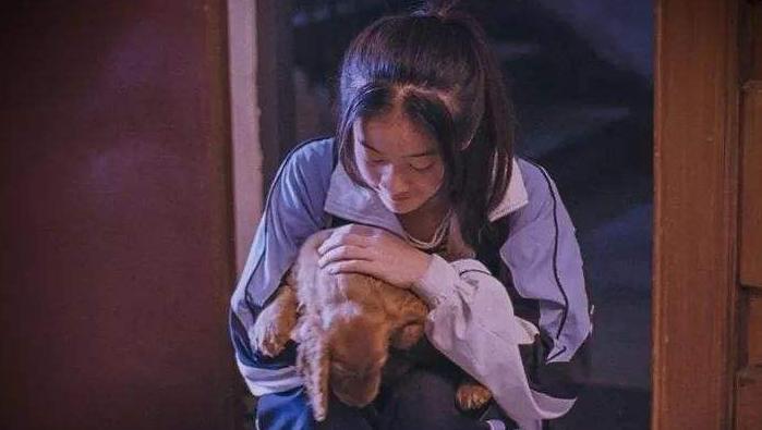 2018年热门电影总结,2018年终总结电影