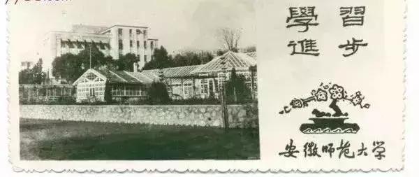 这些经典的芜湖老照片你有见过吗,老芜湖老照片图