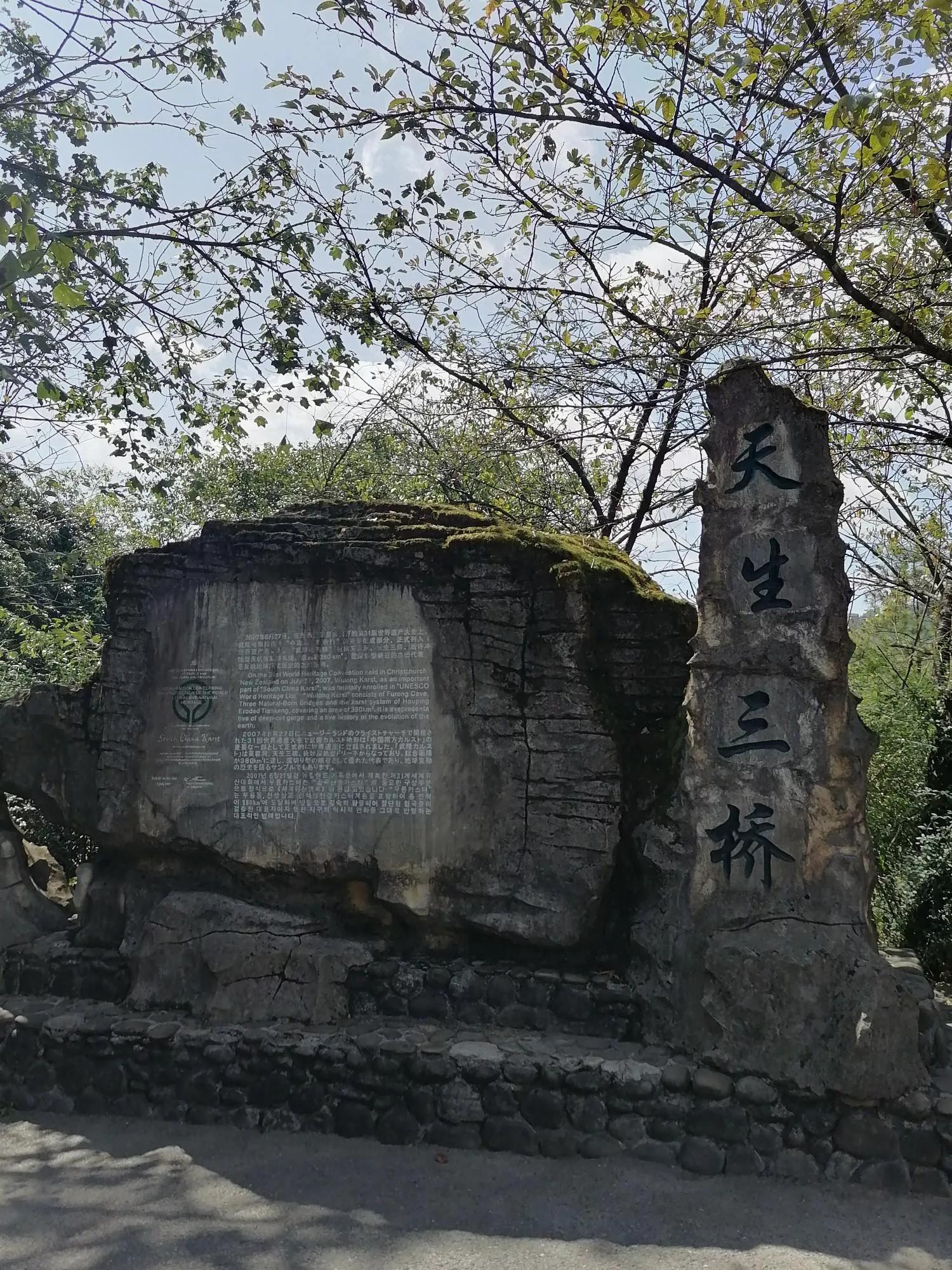 重庆武隆天坑三桥旅游一日游,重庆武隆天坑旅游详细攻略